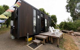Kukupa Taunga At Akaroa Lavender By Tiny Away