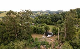 Kukupa Taunga At Akaroa Lavender By Tiny Away